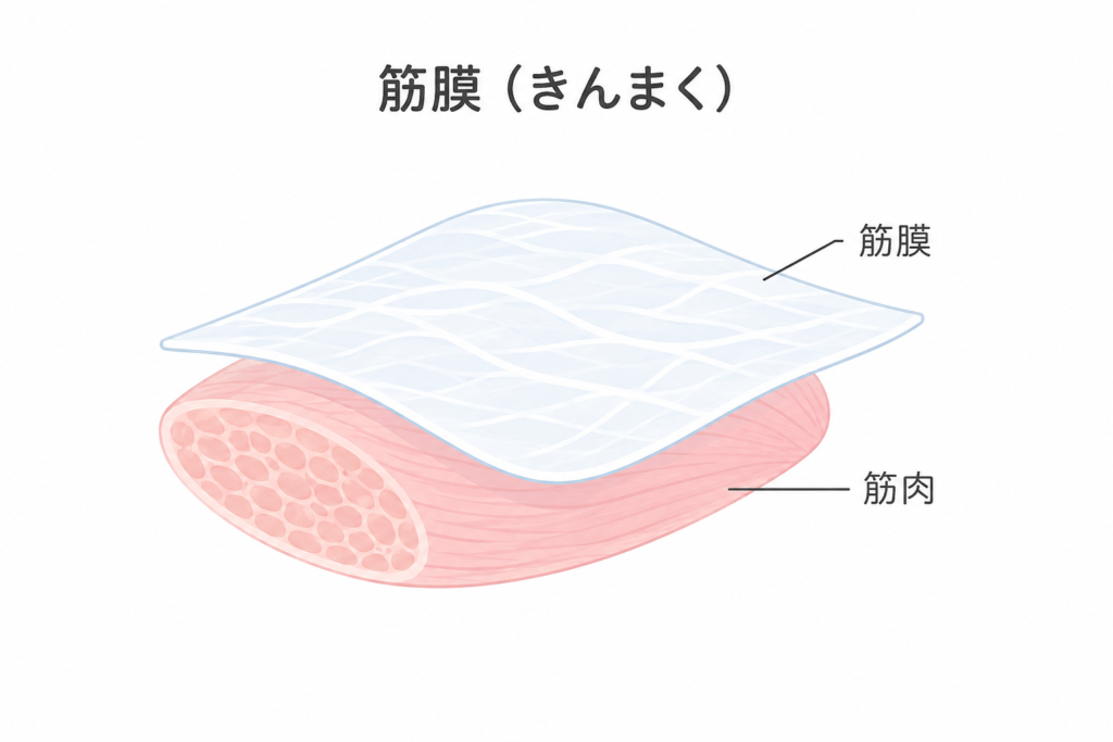 痛みでお困りの方へ