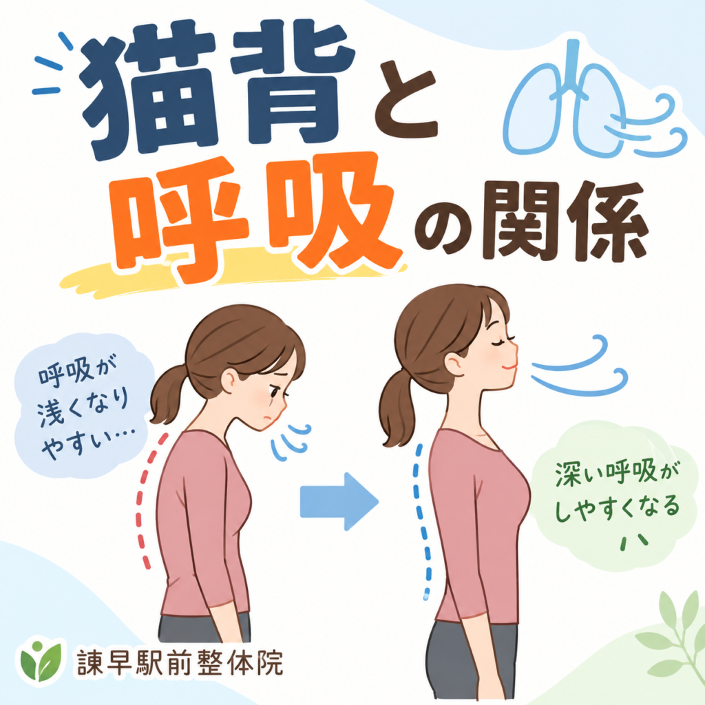 猫背と呼吸